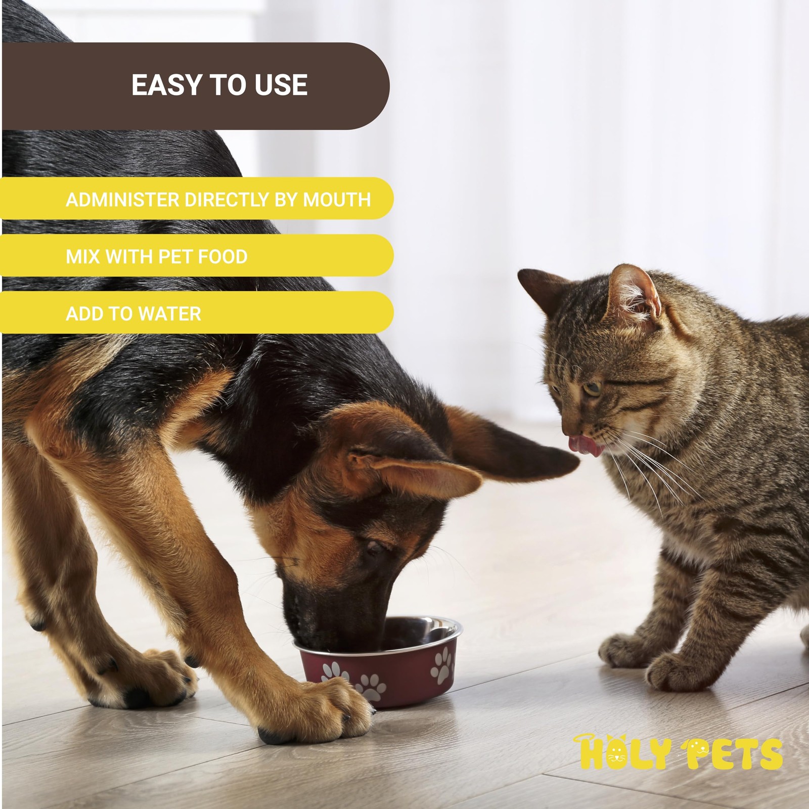 Cough Medicine for Dogs & Cats, Kennel Cough Treatment, Respiratory Infection…