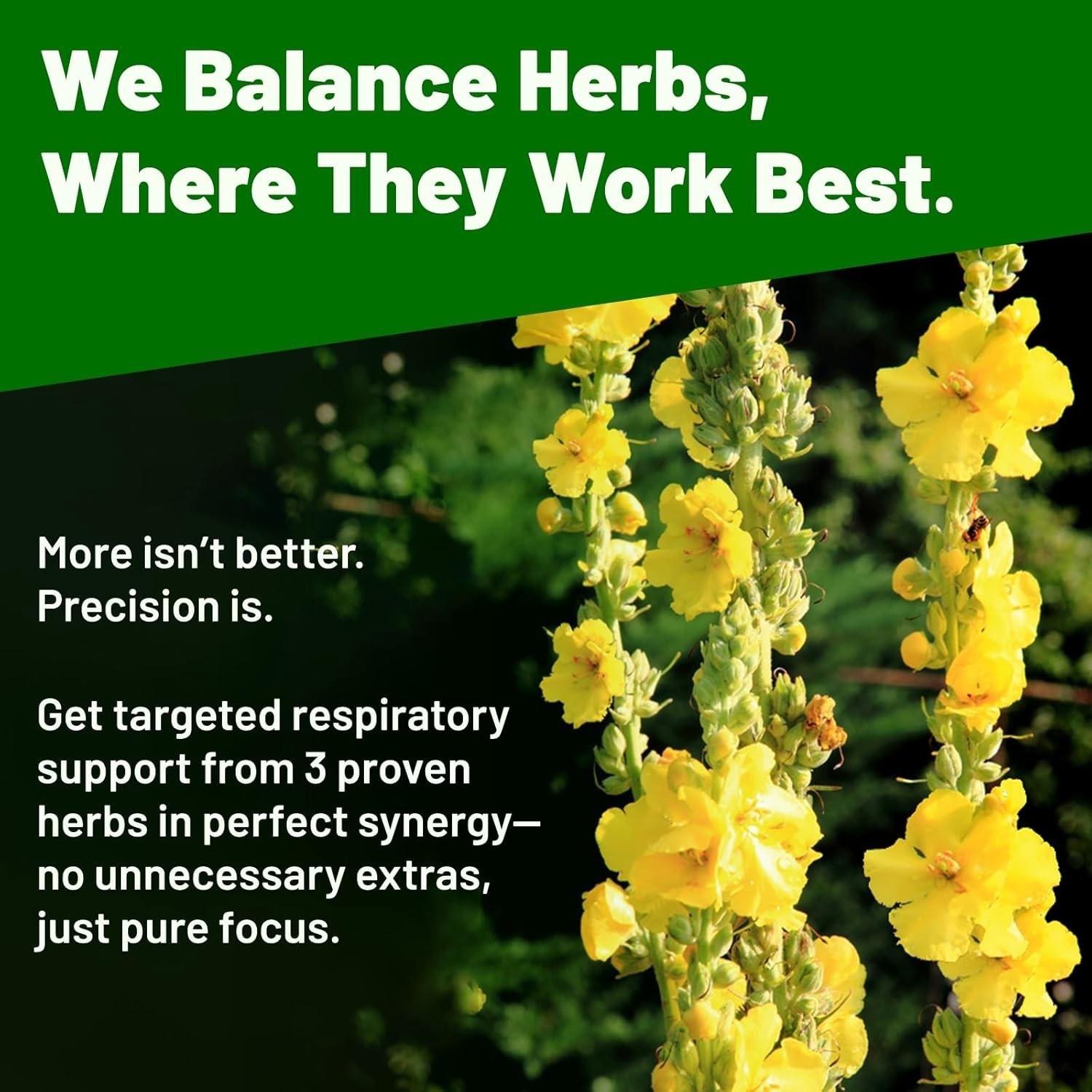 Mullein Drops for Lungs – Lung Detox for Smokers & Lung Cleanse Liquid – Mullein