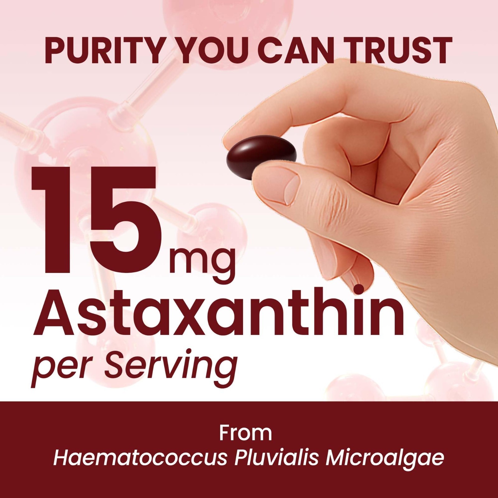 15mg Astaxanthin Softgels | 240 Count | Antioxidant Supplement for Eye & Skin He