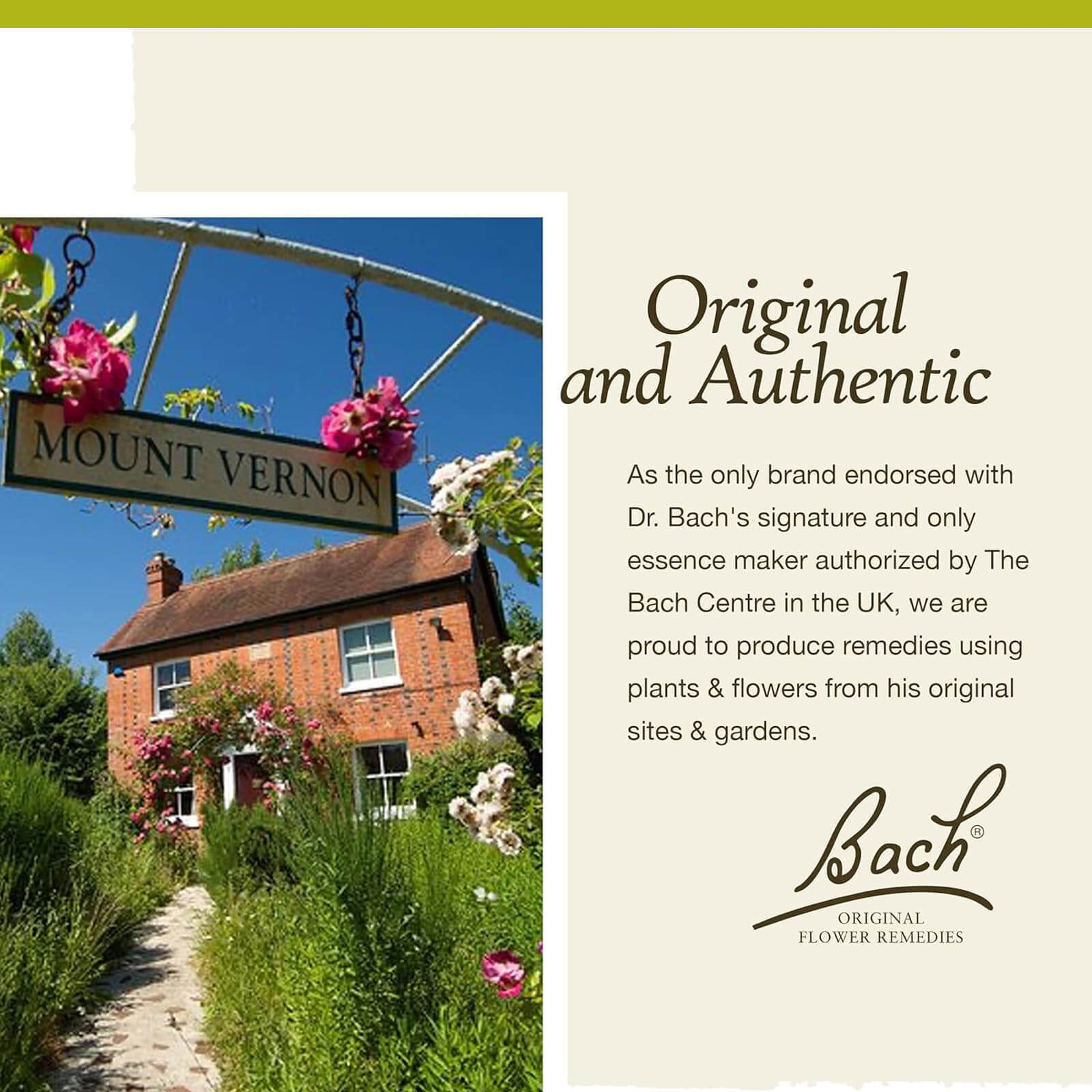 Bach Original Flower Remedies Mustard Be Joyful 0.7 fl oz 20mL