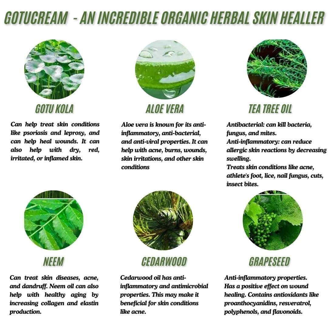 Gotucream 2oz Jar ~ Organic Healing Cream ~ Cellulitis & Skin Inflammation