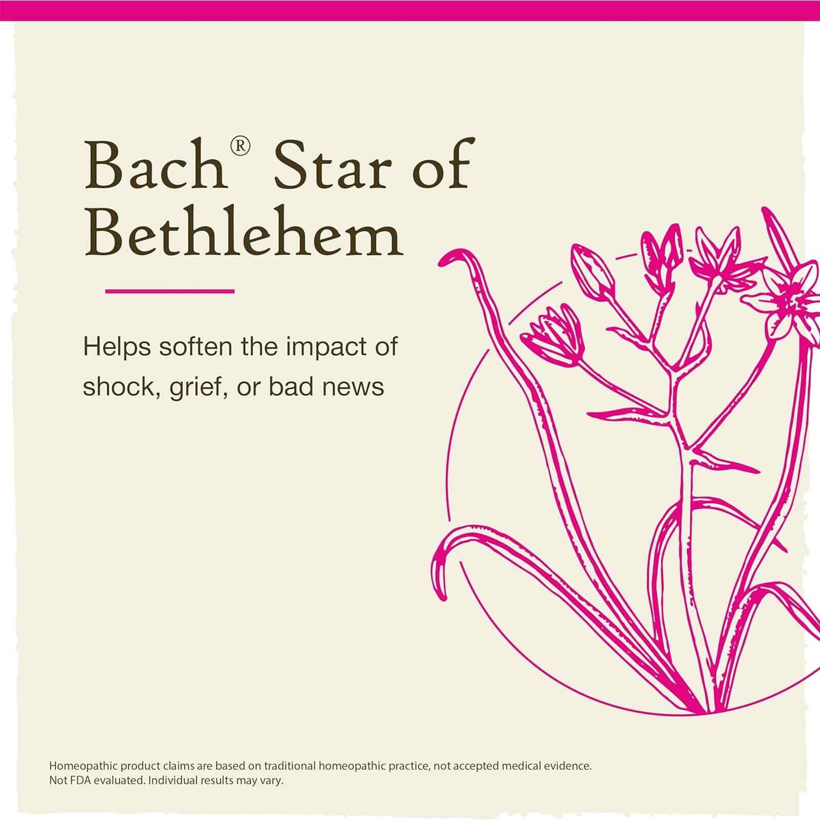Bach Original Flower Remedies Star Of Bethlehem Neutralize Grief 0.7 fl oz 20mL