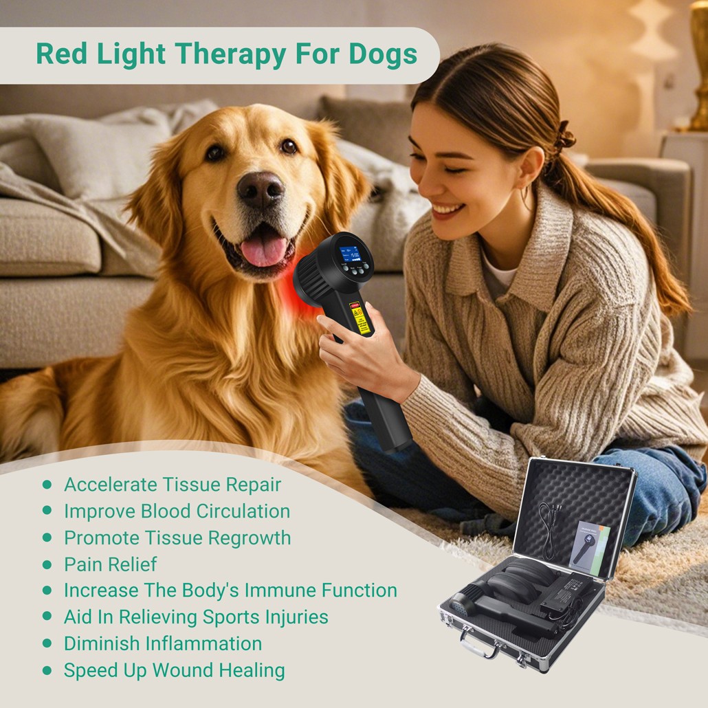 Non-invasive Laser Therapy 650nm 808nm Red Light Physiotherapy Device for Pain