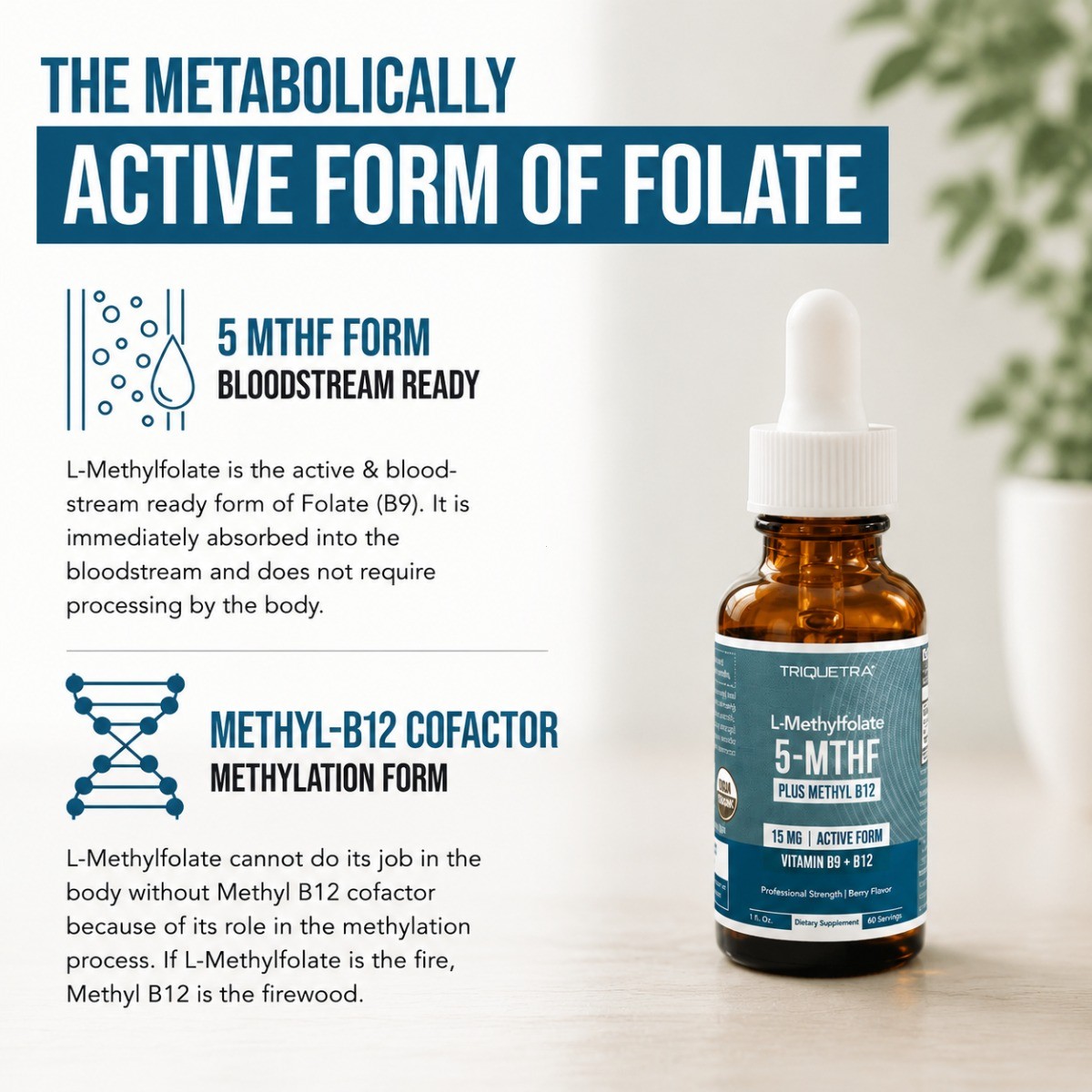 15mg L-Methylfolate B12 Liquid 5-MTHF Mood Cognition Methylation Energy Support