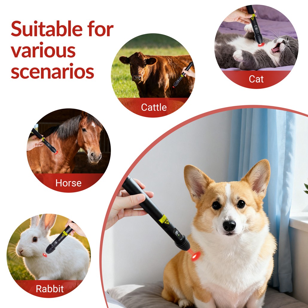 Handheld Cold Laser Therapy Device for Tendonitis Sciatica Pain Relief Improve