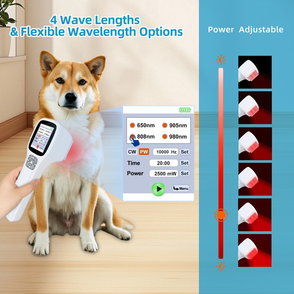 0-2500mW Cold Laser LLLT Therapy Device For Human Pets Muscle Joint Pain Relief