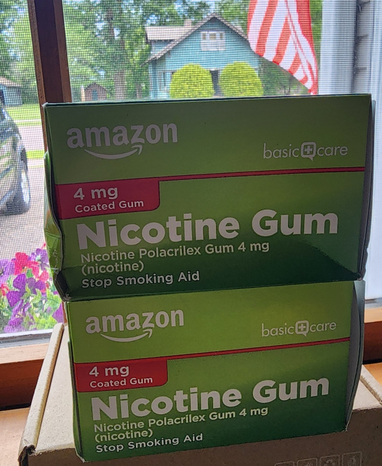 Nicotine Gum 4mg Mint 320 Pieces Lot (160 + 160) Stop Smoking EXP 10/2026