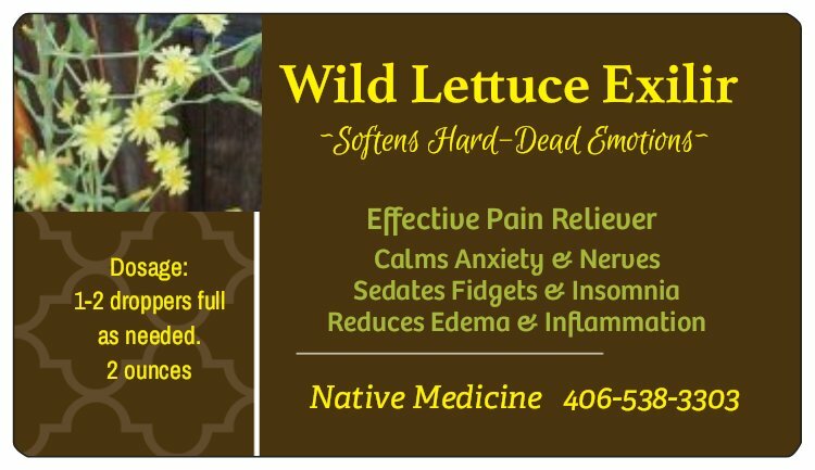 Wild Lettuce Tincture: Organic, Strong & Effective Pain Relief, Soothes Nerves.