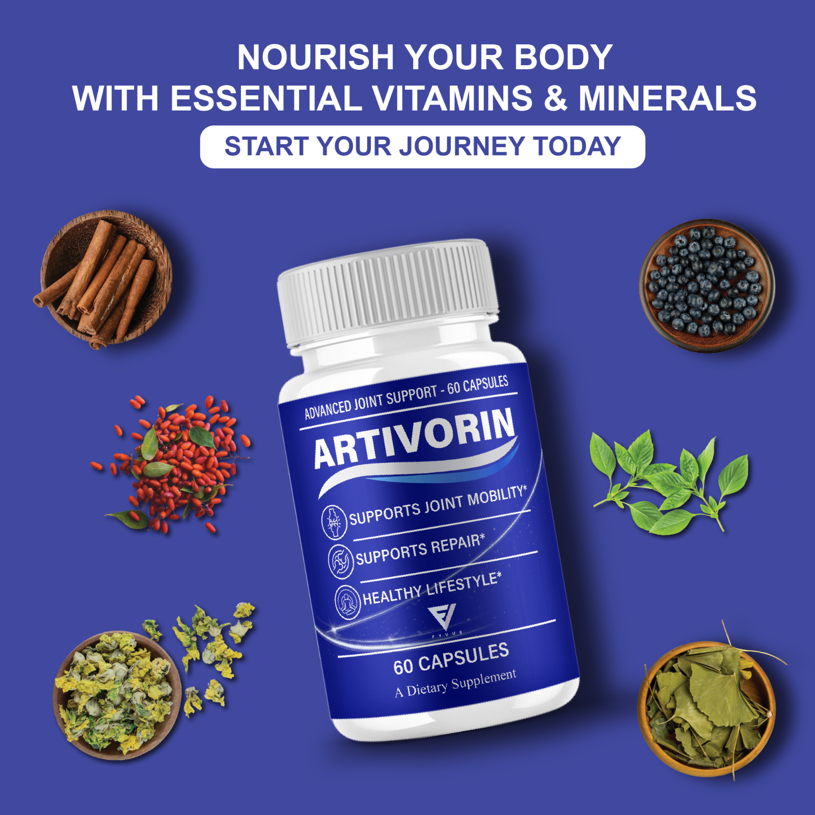 Artivorin Advanced Joint Support, Artivorin Pills (60 Capsules)