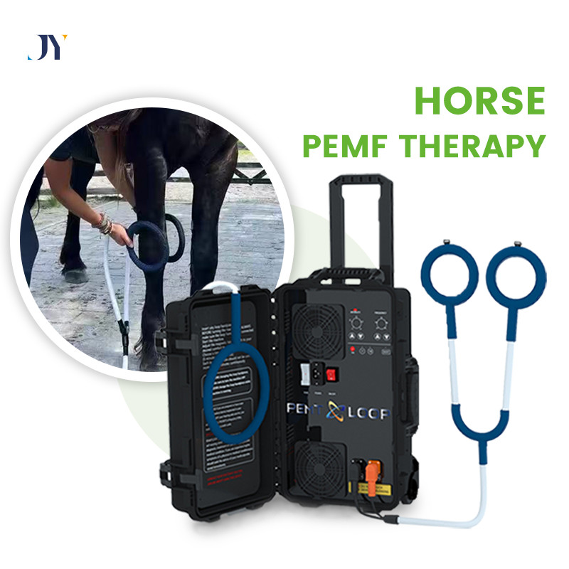 Equine Loop PEMF Treatment Combo Cold Laser Magnetic PMST Loop Horse Machine