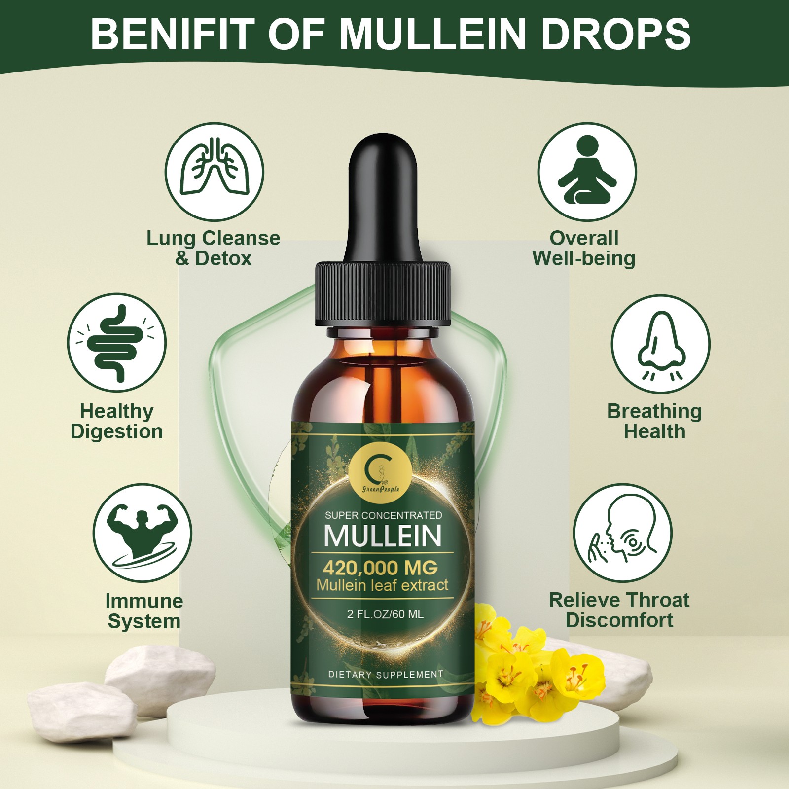 2 PACK Mullein Drops for Lungs, Detox and Cleanse Mullein Extract Supplement