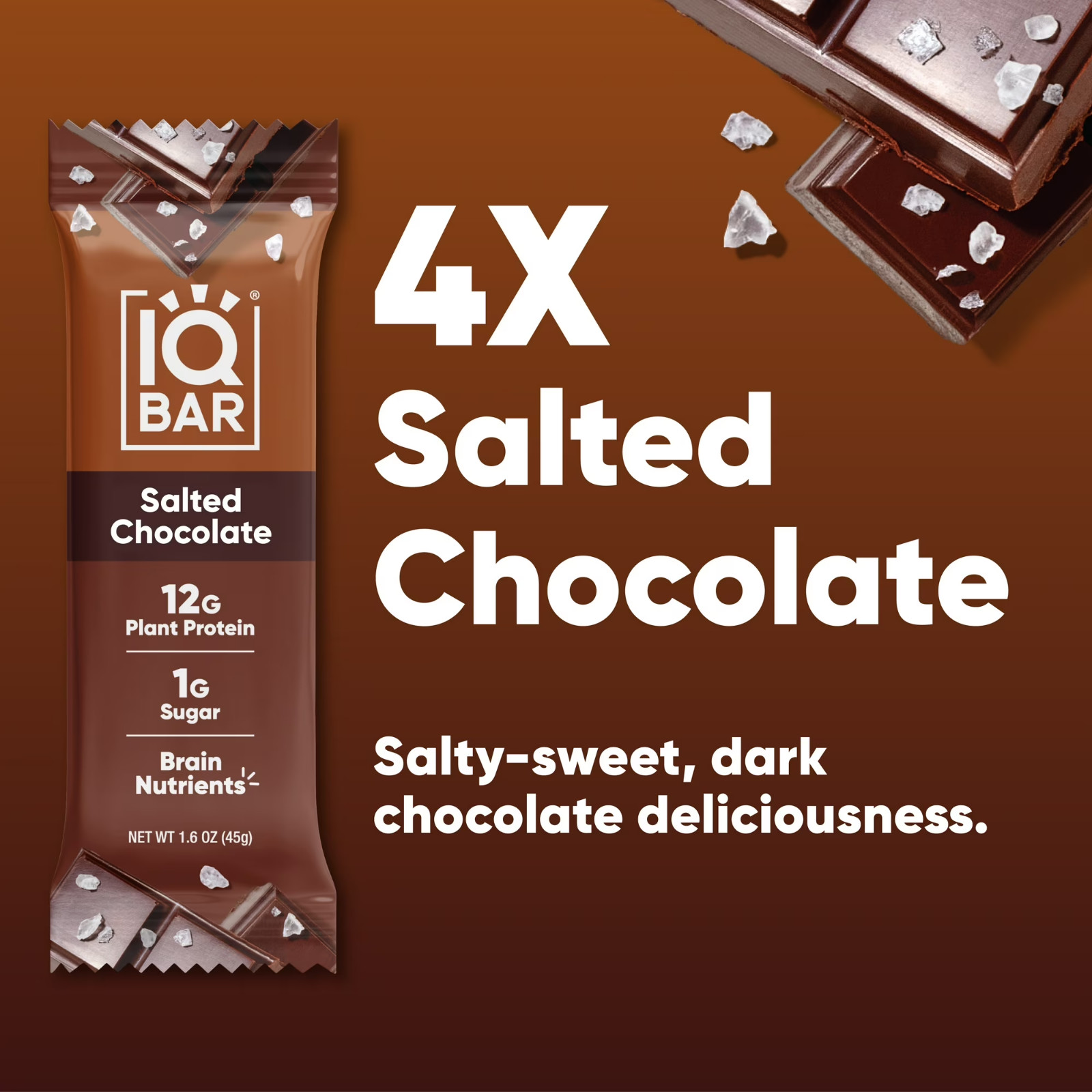 IQBAR Salted Chocolate Protein Bars – Vegan Energy Bars – High Fiber Ve
