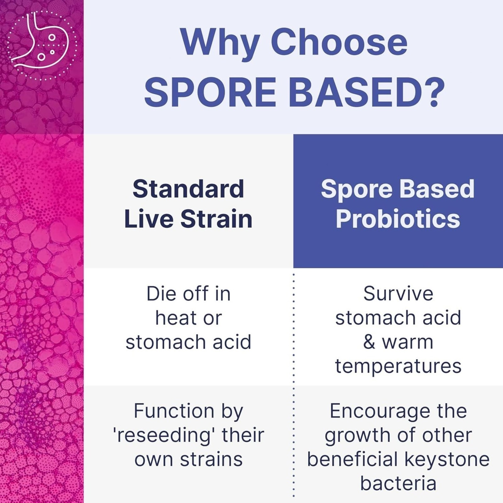 1-3PACK | Microbiome Labs MegaSporeBiotic | Spore-Based Probiotic for Gut Health