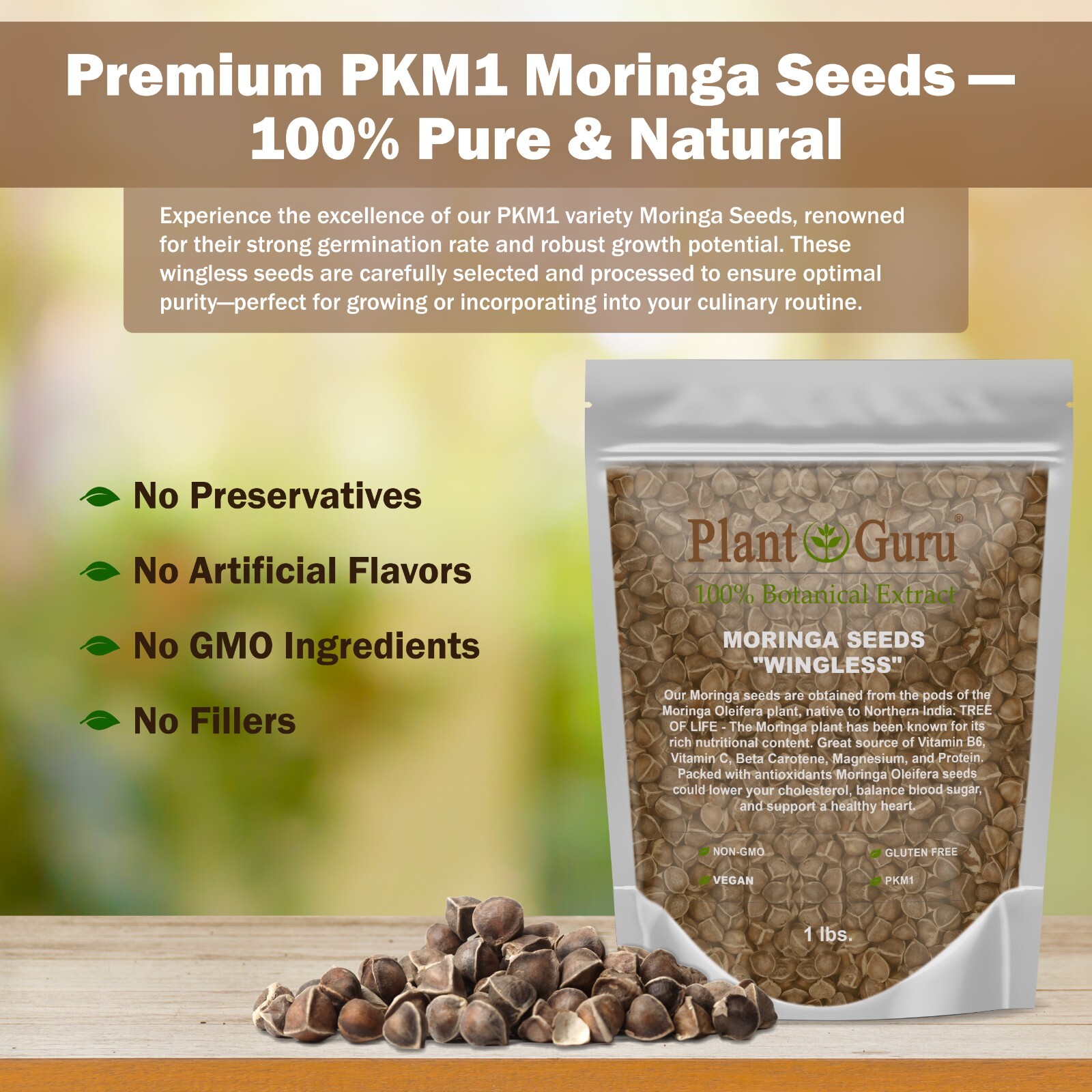 Moringa Oleifera Seeds WINGLESS Fresh Organic Semillas de Moringa Bulk Wholesale