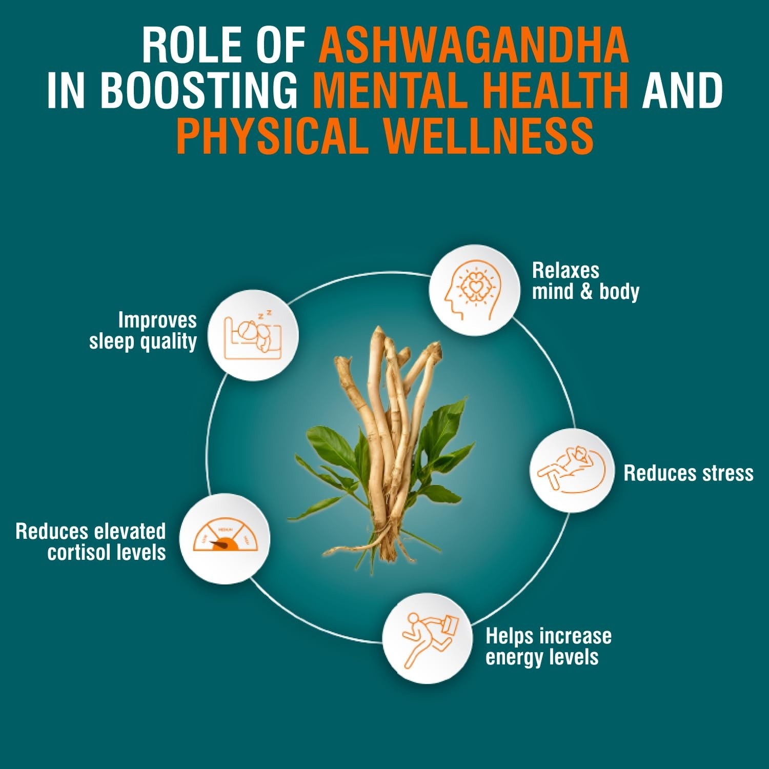 Himalaya Ashwagandha – General Wellness Tablets | Stress Relief | Rejuvenates X5