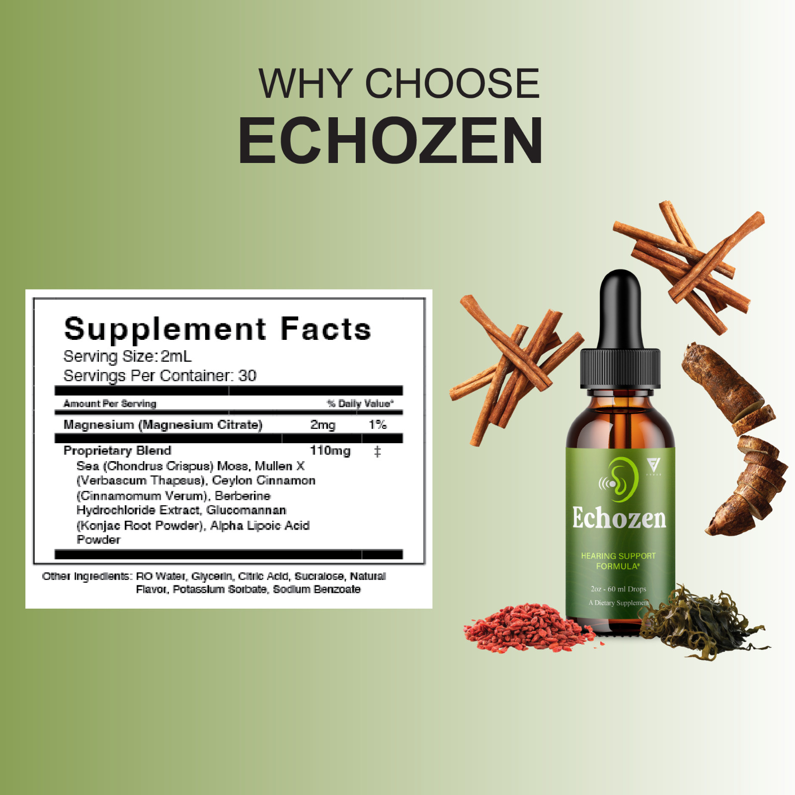 (3 Pack) EchoZen Drops, EchoZen Tinnitus Support Liquid Supplement (6oz)
