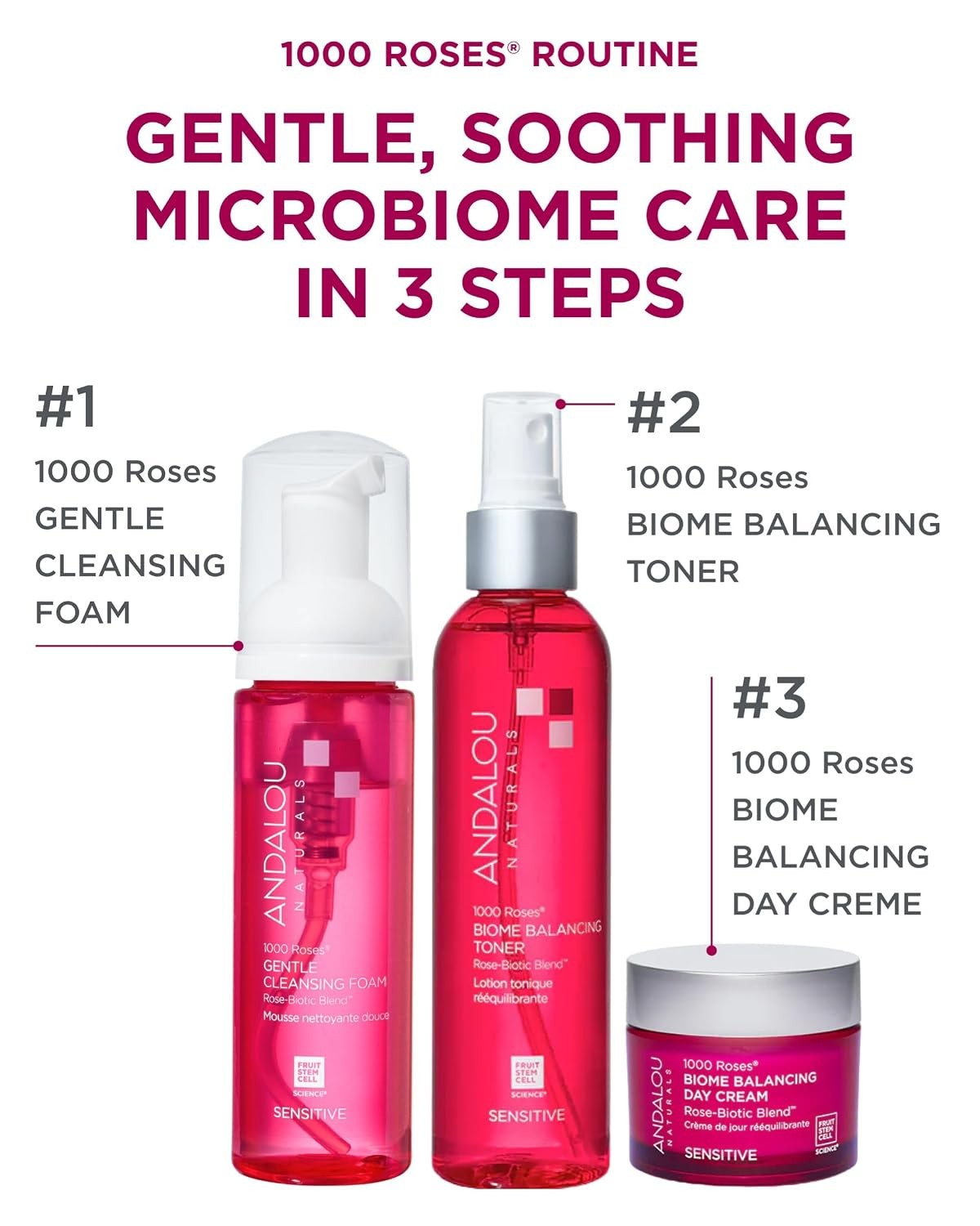 Andalou Naturals, 1000 Roses Gentle Cleansing Foam Sensitive, 5.5 Oz