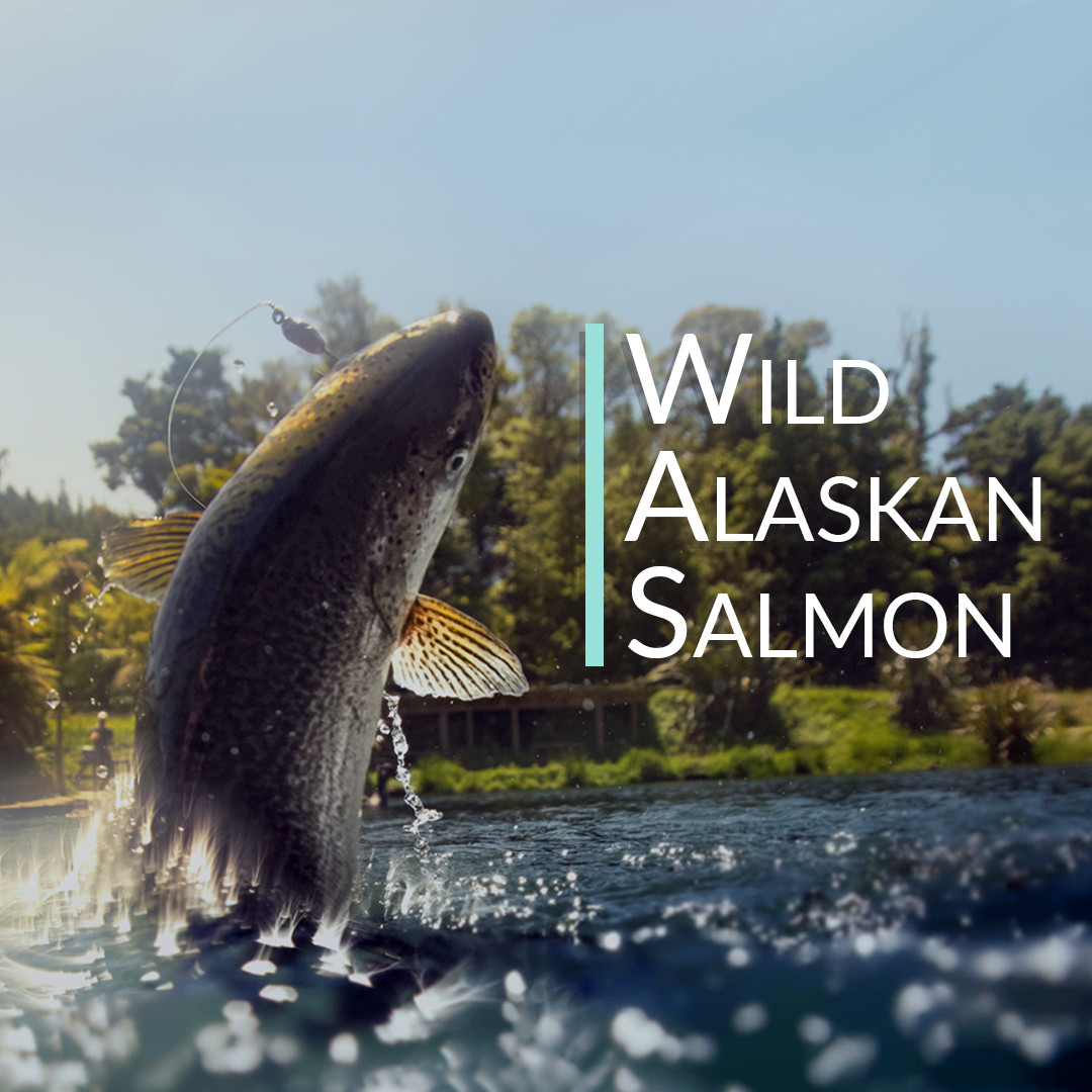 Wild Alaskan Salmon Bone Broth Powder – Pure Protein Organics 300g Unflavored