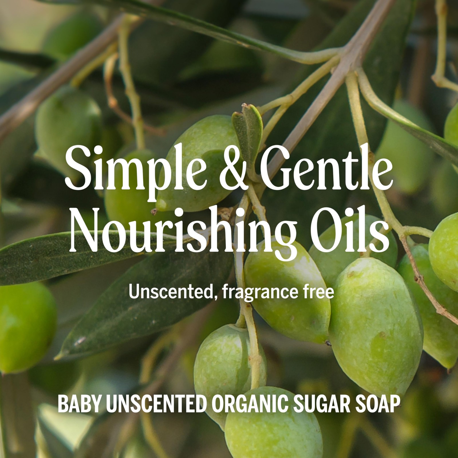 Dr. Bronner’s Organic Sugar Soap (Baby Unscented, 24 24 Fl Oz (Pack of 1)