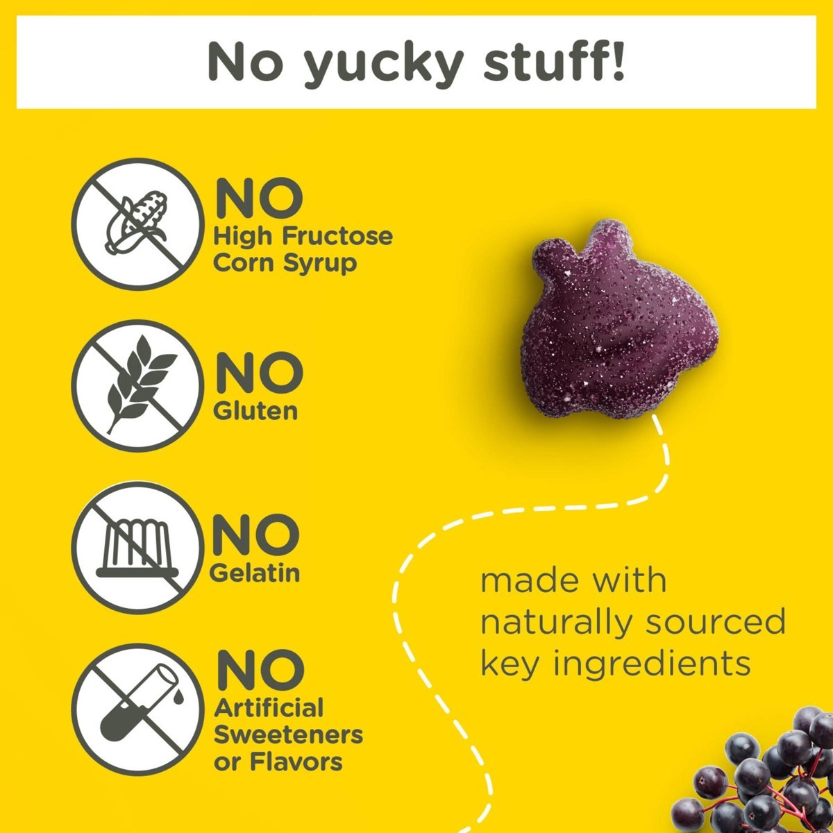 Zarbee’s Kid’s Daily Immune Support Gummies with Real – Berry Flavor – 42ct