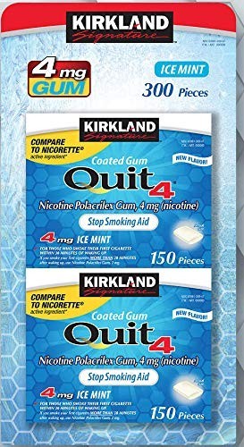 Signature Ice Mint Nicotine Gum – 300 Pieces