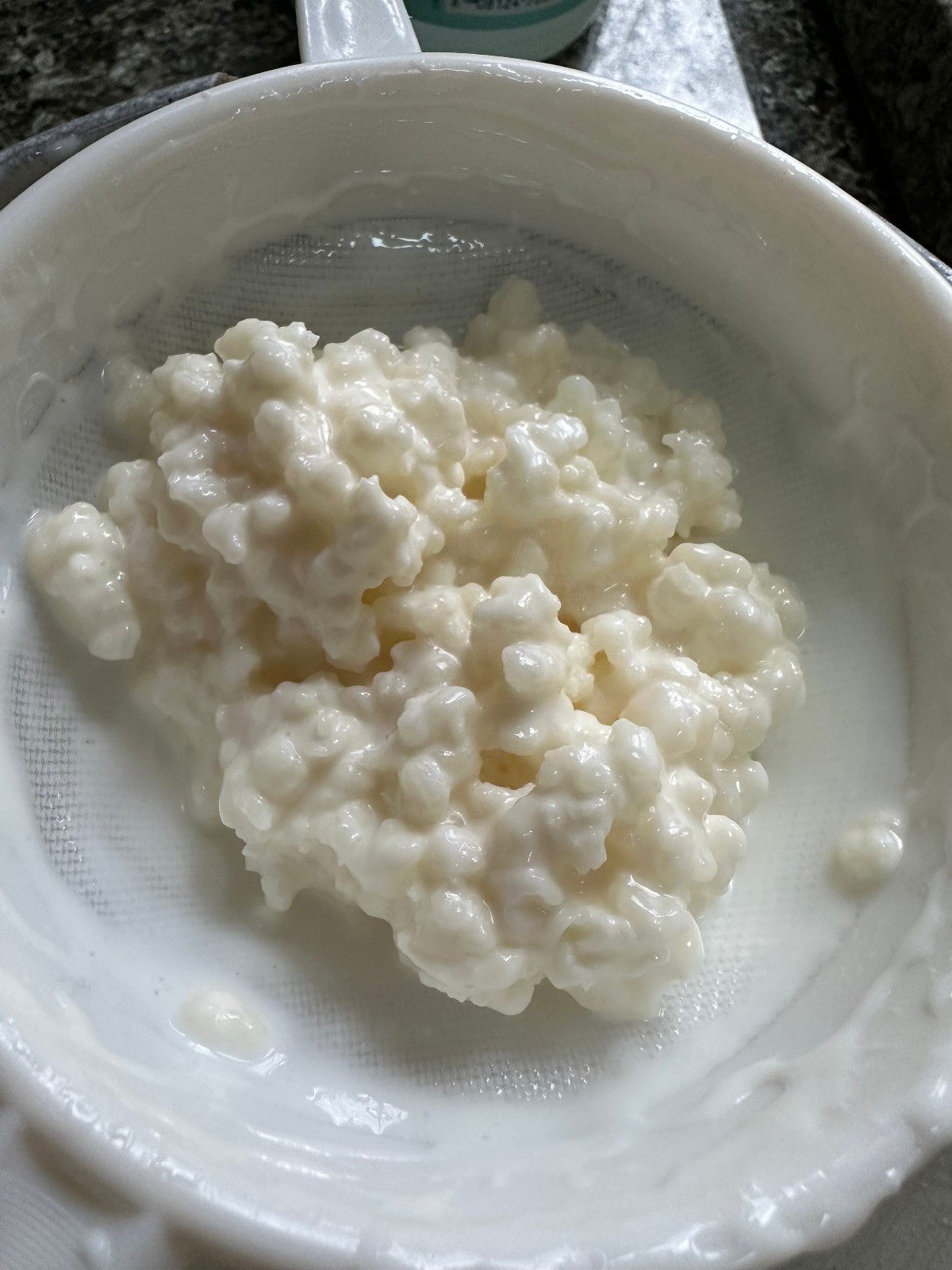 Starter Kefir Grains – Never frozen or dried – 2 Tablespoons