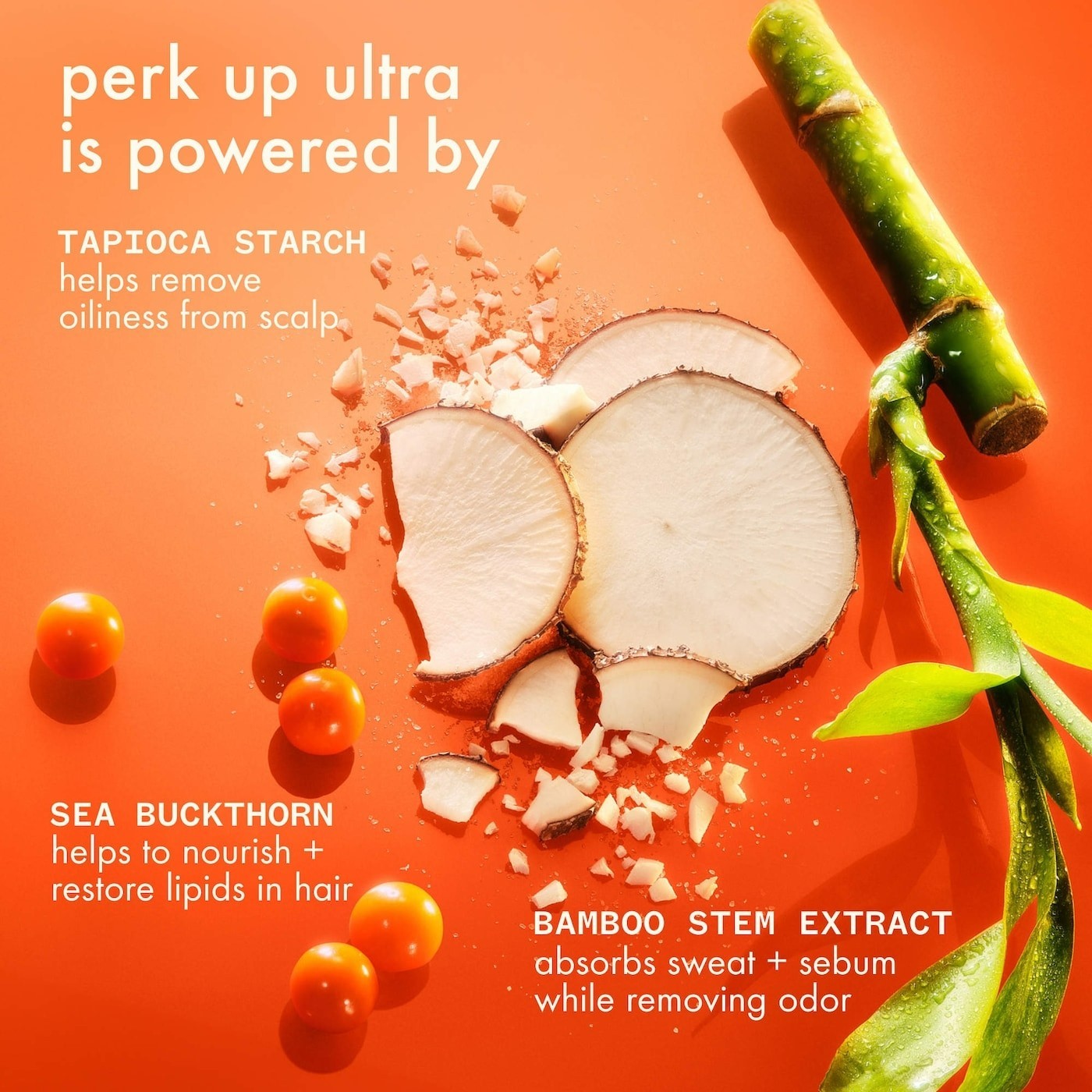 Amika Perk Up Ultra Oil Control Dry Shampoo 5.3 oz 31069270
