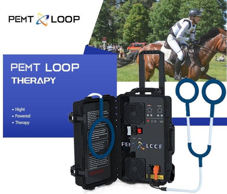 Equine Loop PEMF Treatment Combo Cold Laser Magnetic PMST Loop Horse Machine