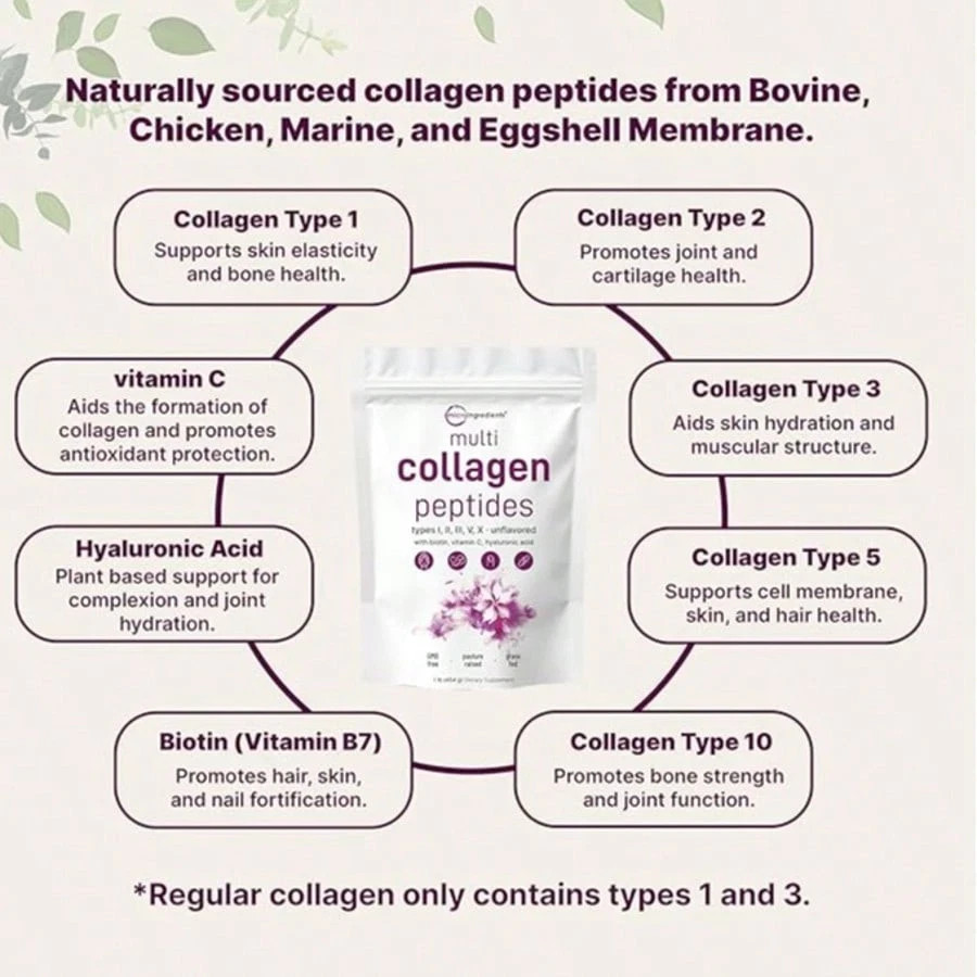 Multi Collagen Peptides Powder – 5 Collagen Types for Skin, Hair, Joints & Gut