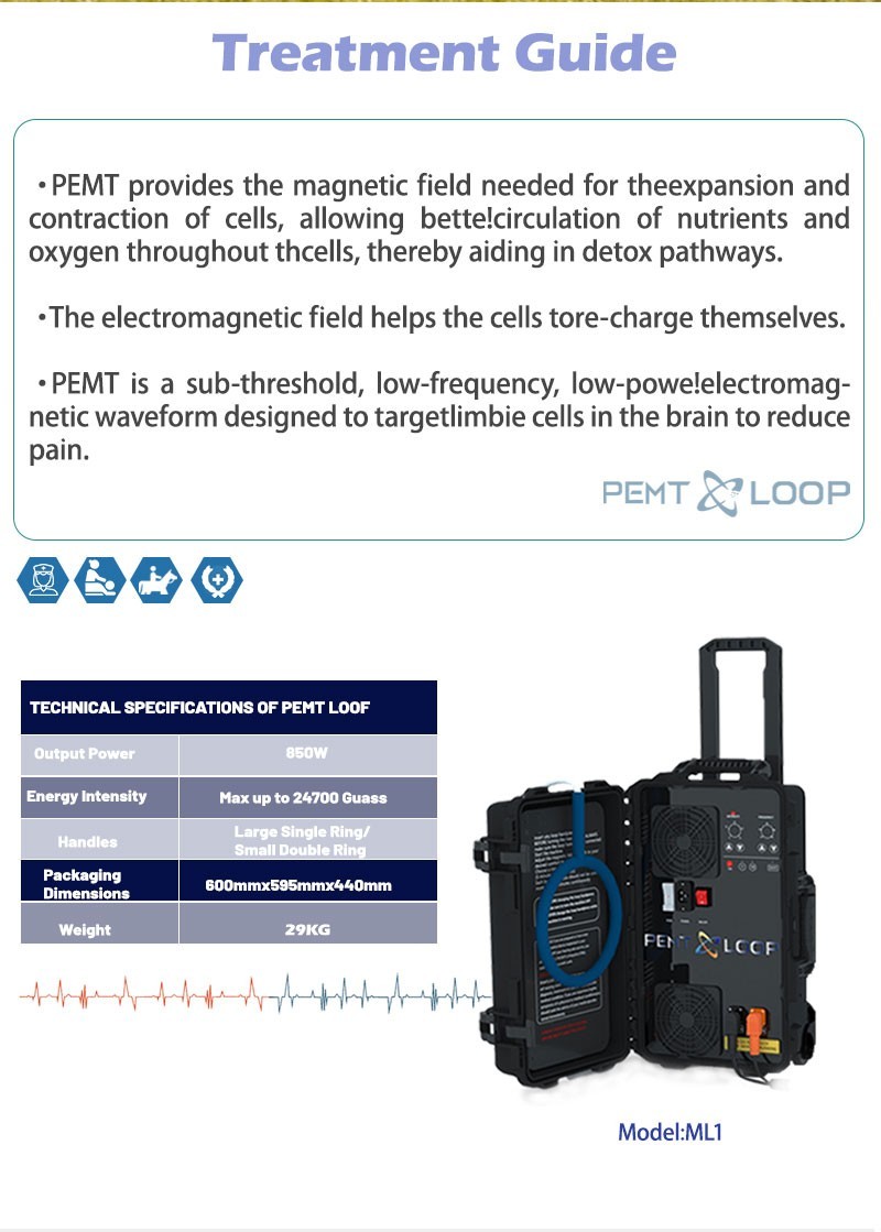 Equine Loop PEMF Treatment Combo Cold Laser Magnetic PMST Loop Horse Machine