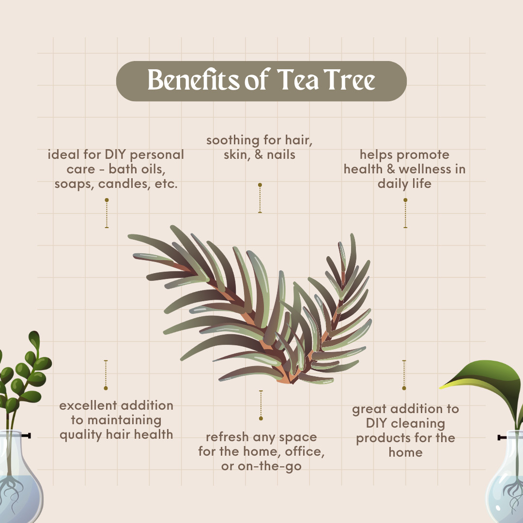 8 fl oz Tea Tree Essential Oil (100% Pure & Natural) in Plastic Bottle