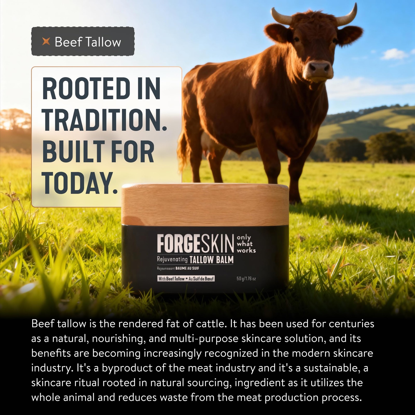 Forge Skin® Wrinkle Defense Beef Tallow Balm 1.76 Ounce (Pack of 1), Black